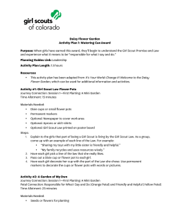 Daisy Flower Garden Activity Plan 1: Watering Can Award Purpose