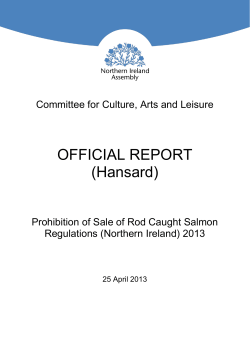 PDF version of this report - The Northern Ireland Assembly
