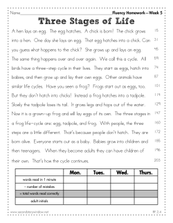 Fluency - Sacred Heart School