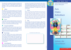 Holistic Life Consultation Aura Chakra Biofeedback