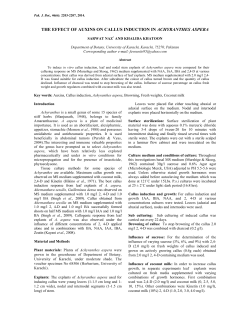the effect of auxins on callus induction in achyranthes aspera