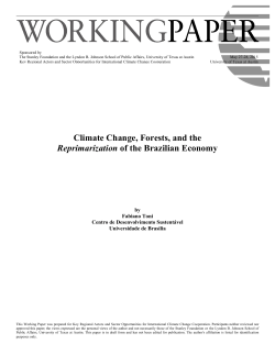 Climate Change, Forests, and the Reprimarization of the Brazilian