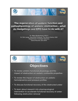 The regeneration of ureteric function and pathophysiology of ureteric
