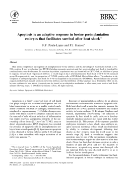 Apoptosis is an adaptive response in bovine preimplantation
