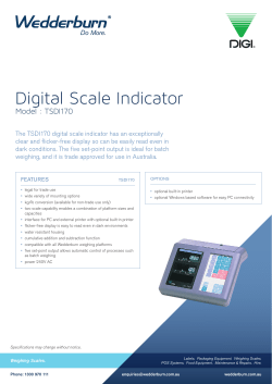 Digital Scale Indicator