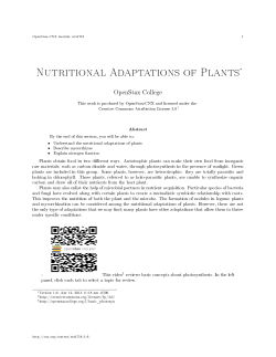 Nutritional Adaptations of Plants