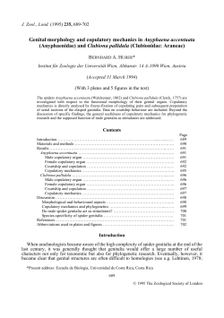 Genital morphology and copulatory mechanics