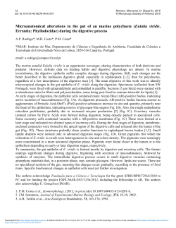 Microanatomical alterations in the gut of an marine polychaete