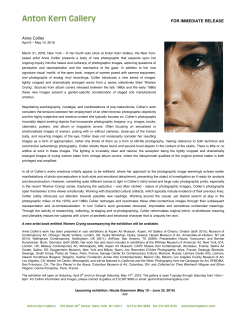 press release - Anton Kern Gallery