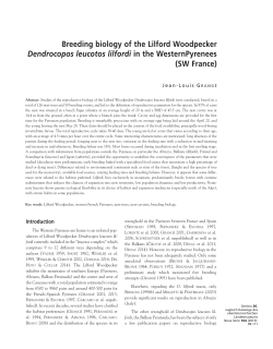Breeding biology of the Lilford Woodpecker Dendrocopos