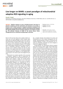 Live longer on MARS: a yeast paradigm of mitochondrial adaptive