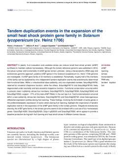 Tandem duplication events in the expansion of the small heat shock