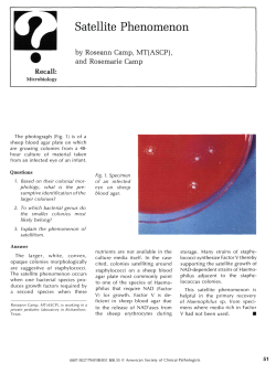 Satellite Phenomenon