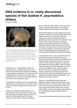 DNA evidence is in, newly discovered species of fish