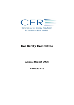 Gas Safety Committee - Commission for Energy Regulation
