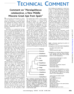 Comment on ``Pierolapithecus catalaunicus, a New Middle Miocene