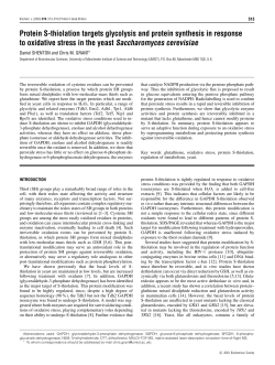 Protein S-thiolation targets glycolysis and protein synthesis in