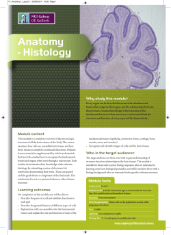 Anatomy - Histology