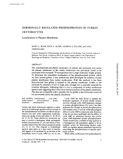 HORMONALLY REGULATED PHOSPHOPROTEIN OF TURKEY