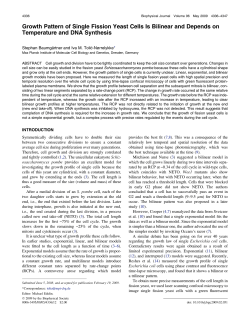 Growth Pattern of Single Fission Yeast Cells Is Bilinear and