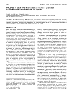 Influence of Catabolite Repression and Inducer Exclusion on the