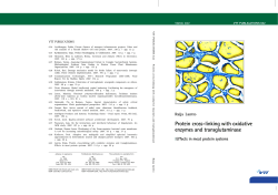 Protein cross-linking wwith oxidative enzymes and