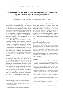 Predation on the introduced frog Eleutherodactylus johnstonei by