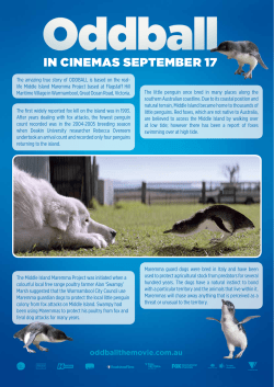 in cinemas september 17