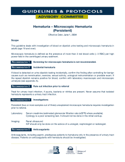 Microscopic Hematuria (Persistent)