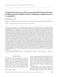No species barrier by call in an avian hybrid zone between