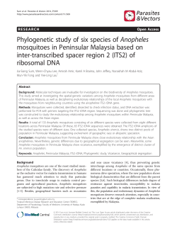 Phylogenetic study of six species of Anopheles