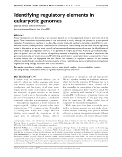 Identifying regulatory elements in eukaryotic genomes