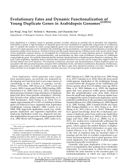 Evolutionary Fates and Dynamic