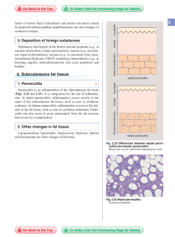 1. Panniculitis