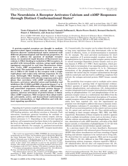 The Neurokinin A Receptor Activates Calcium and cAMP
