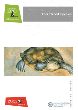 Threatened Species – Junior Primary