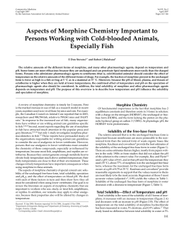 Aspects of Morphine Chemistry Important to