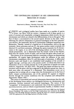 THE CONTROLLING ELEMENT IN SEX CHROMOSOME