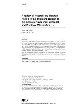 A review of research and literature related to the origin and identity