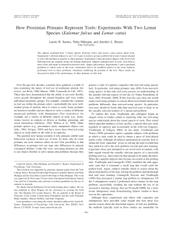 How Prosimian Primates Represent Tools: Experiments With Two