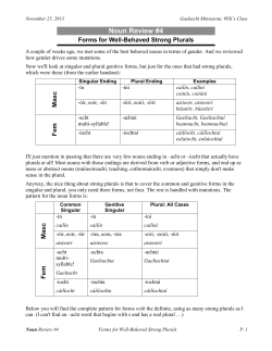 Noun Review #4 - Gaeltacht Minnesota