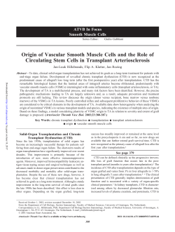Origin of Vascular Smooth Muscle Cells and the Role of Circulating