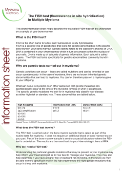 information sheet