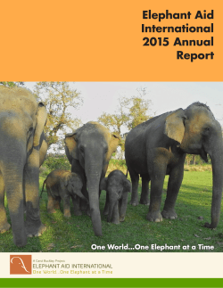 Elephant Aid International 2015 Annual Report