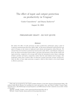 The effect of input and output protection on productivity in