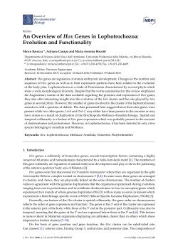 An Overview of Hox Genes in Lophotrochozoa: Evolution and