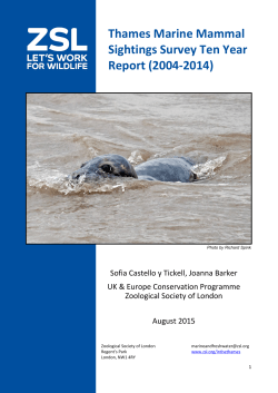 Thames Marine Mammal Sightings Survey Ten Year Report