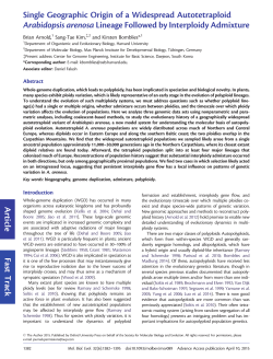 Single Geographic Origin of a Widespread Autotetraploid