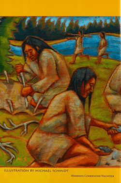 illustration by michael schmi dt