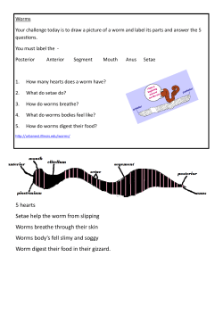5 hearts Setae help the worm from slipping Worms